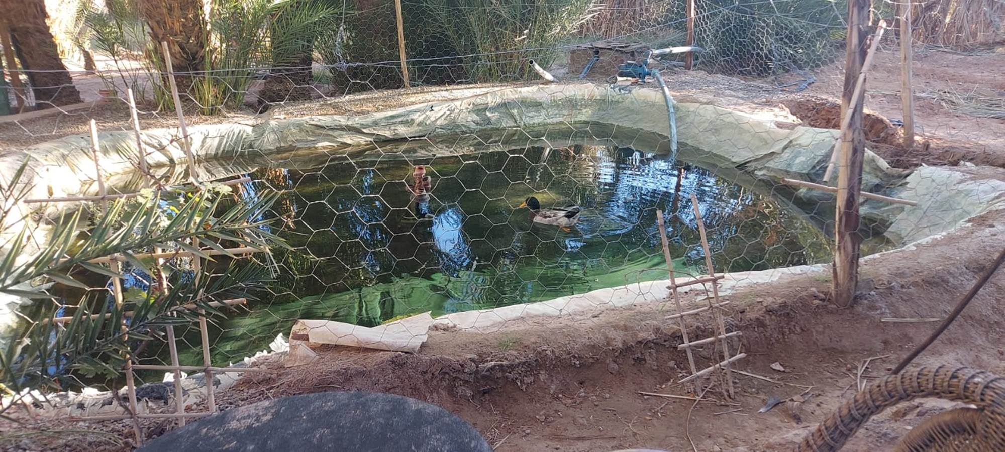 WhatsApp Image 2025-01-21 at 11.56.20