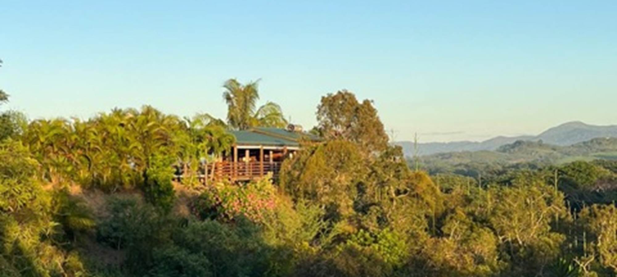 734ff971-1d5b-4714-b908-db4b404dd4a2 Medium