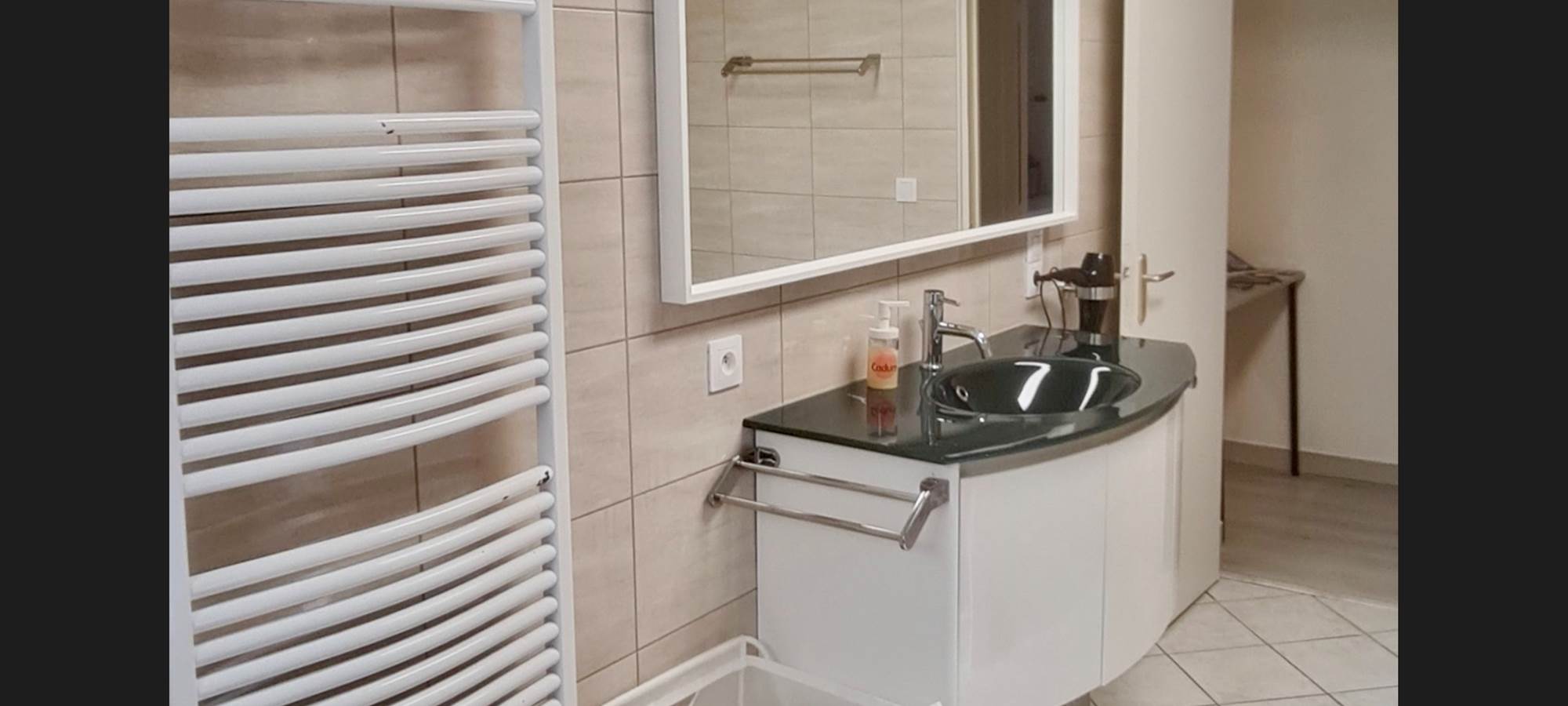 VILLA DU LAC VICHY - salle de bain  douche