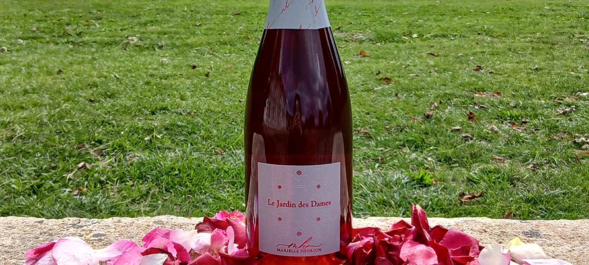 f20d1db9-be12-48d3-9847-5a8c202a7a18