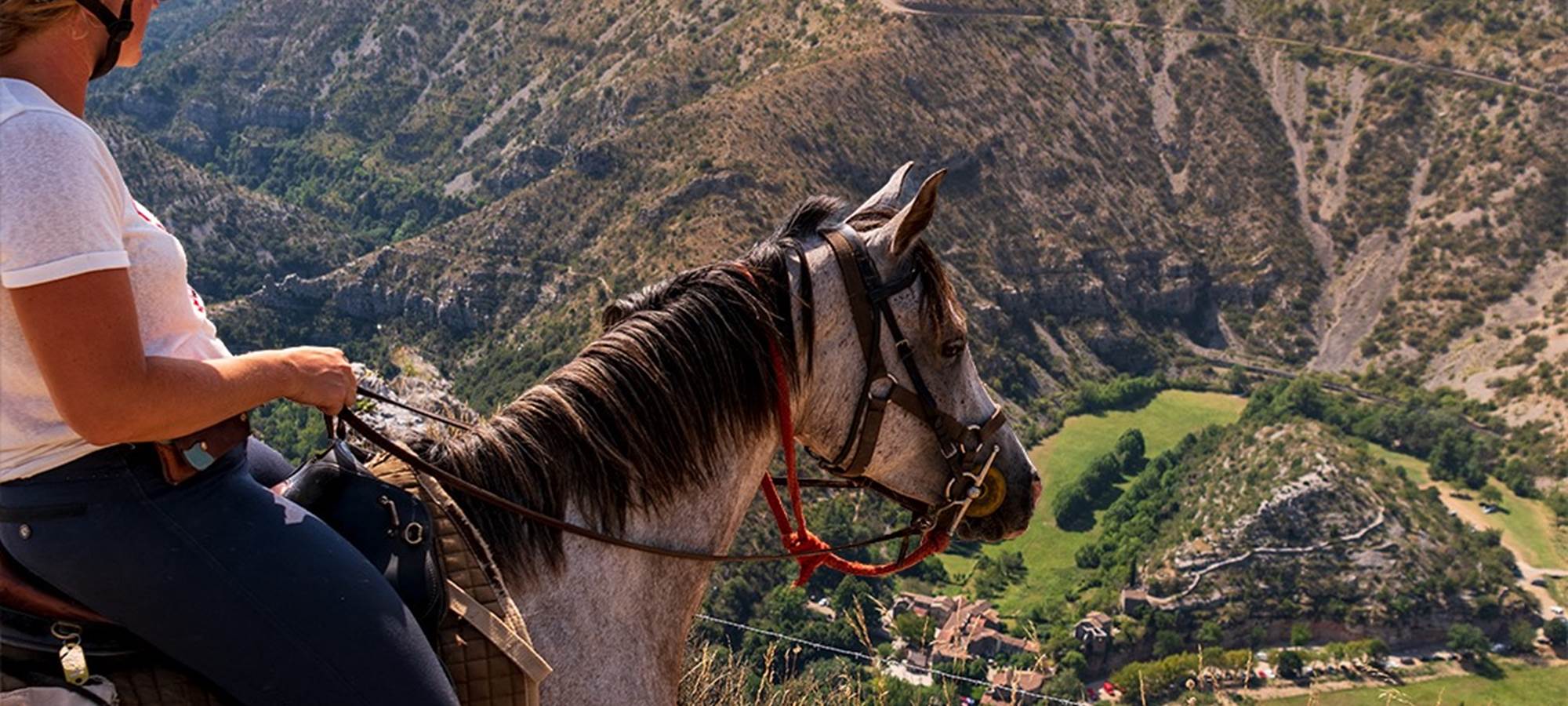 Balade à cheval aux belvédères du Cirque de Navacelle