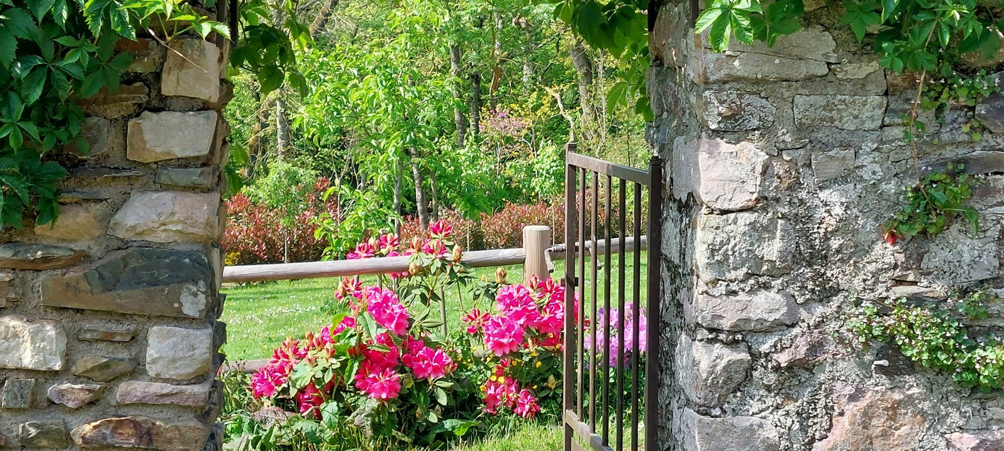Chambre d'hôtes Kergroaz Maner Paimpol Bréhat Côte de Granit Rose 2024-10