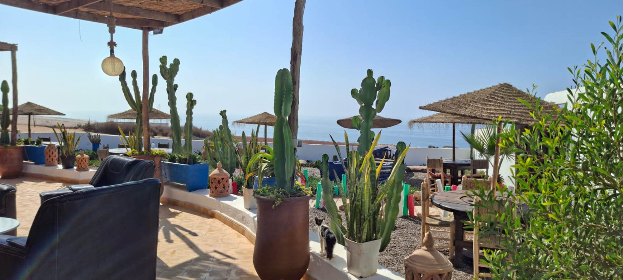 WhatsApp Image 2025-10-23 at 08.49.16