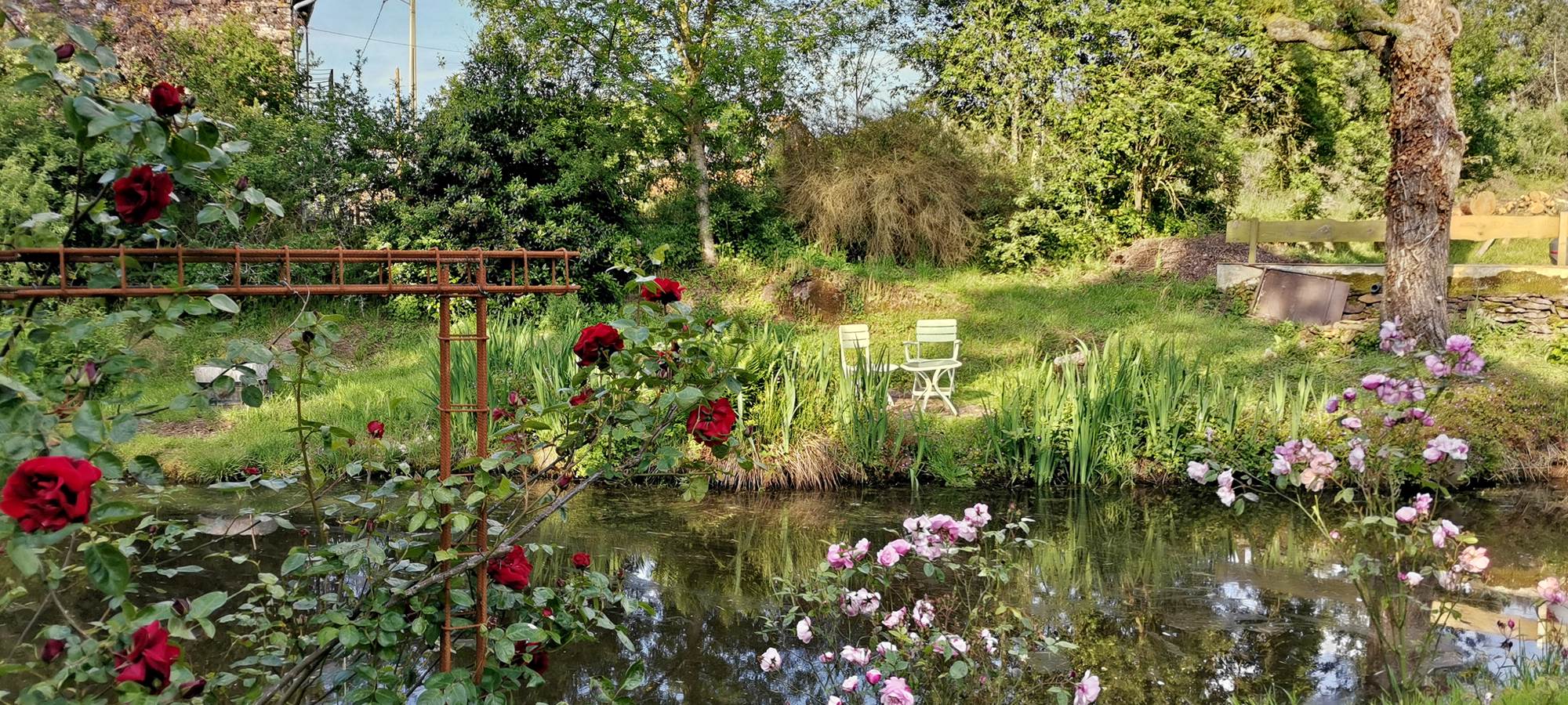 IMG_20230517_191818[1]