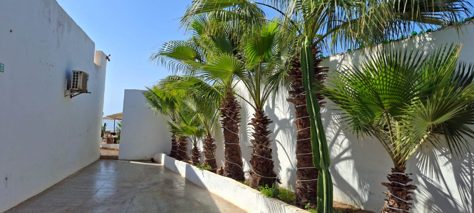 WhatsApp Image 2025-10-23 at 08.50.56