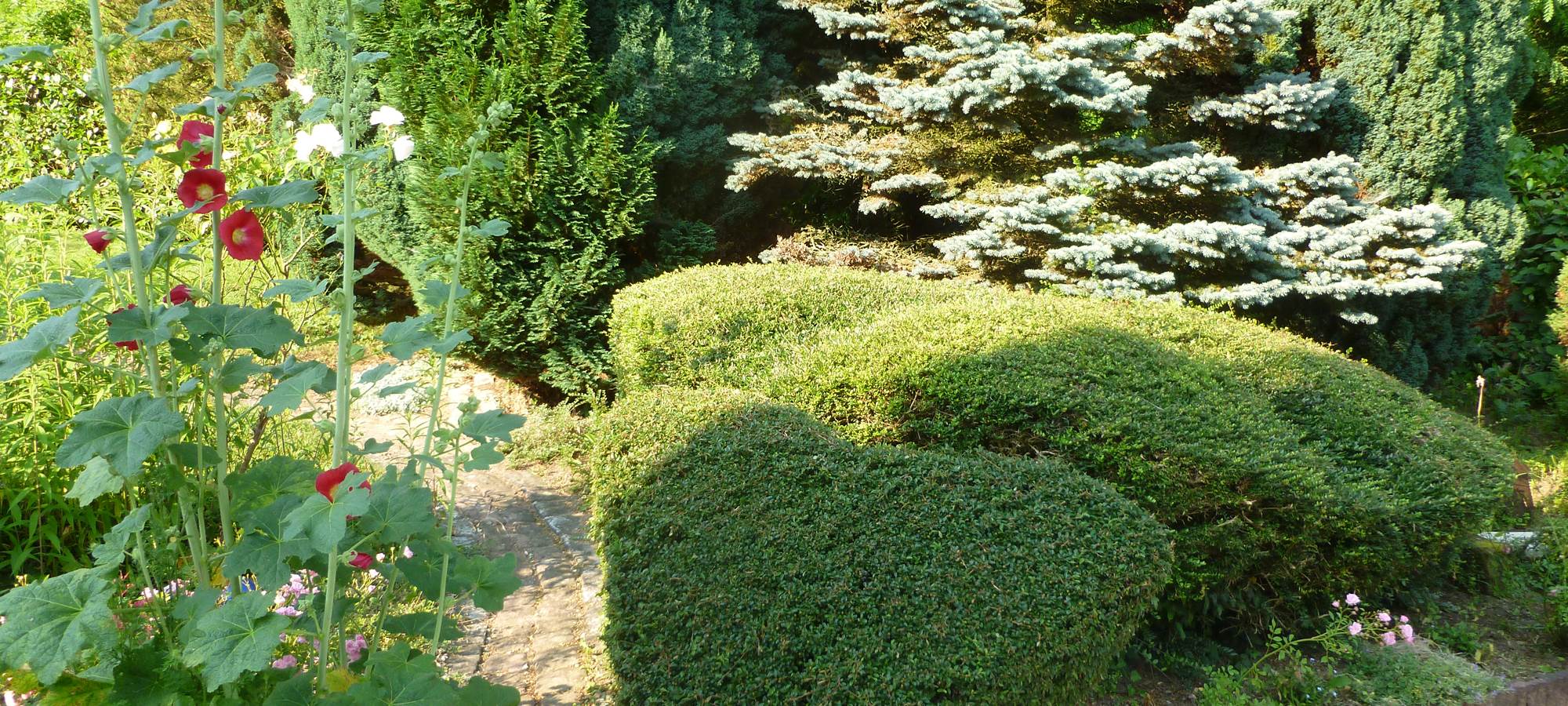 BUISSIN COEUR ET ROSE T