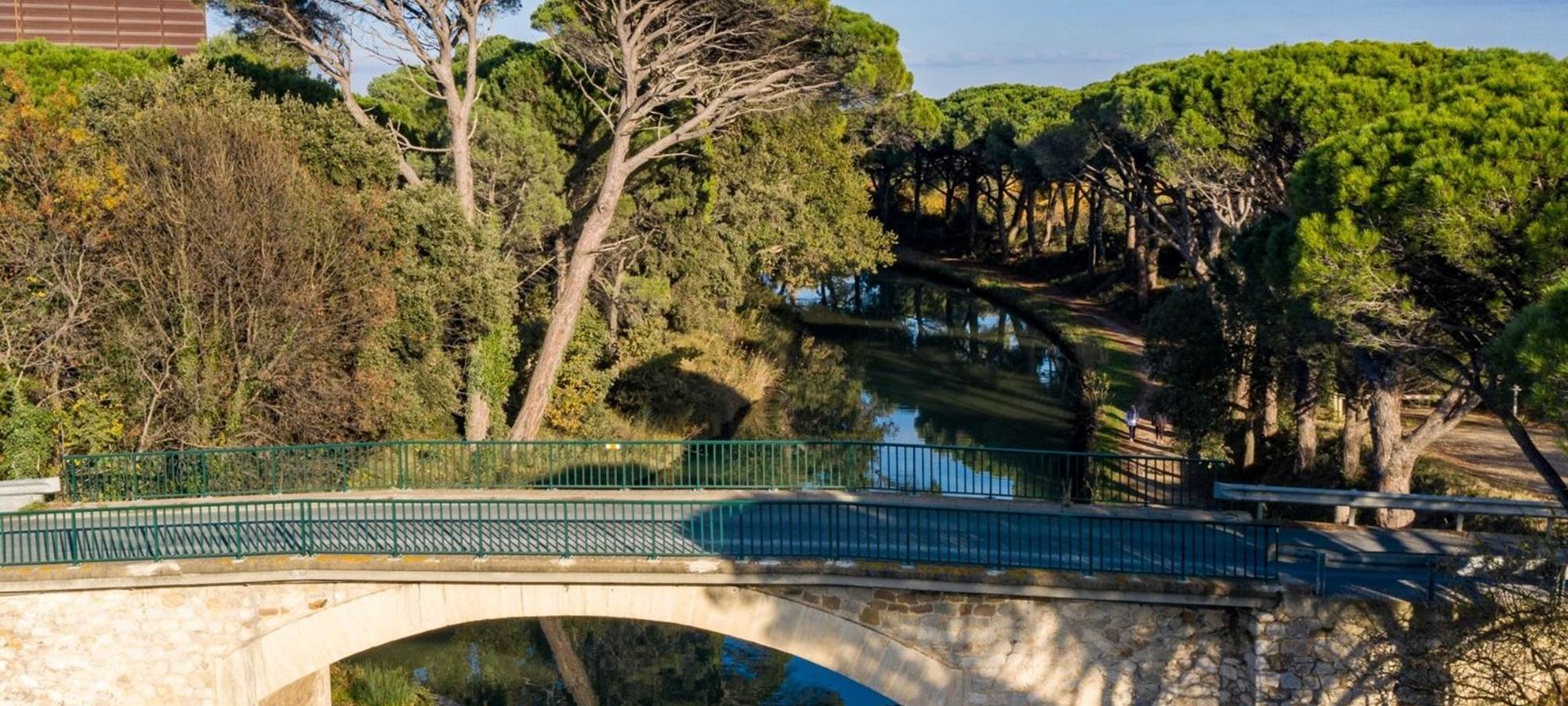 Canal du midi et ses pins parasols prés de l'embouchure du canal de jonction