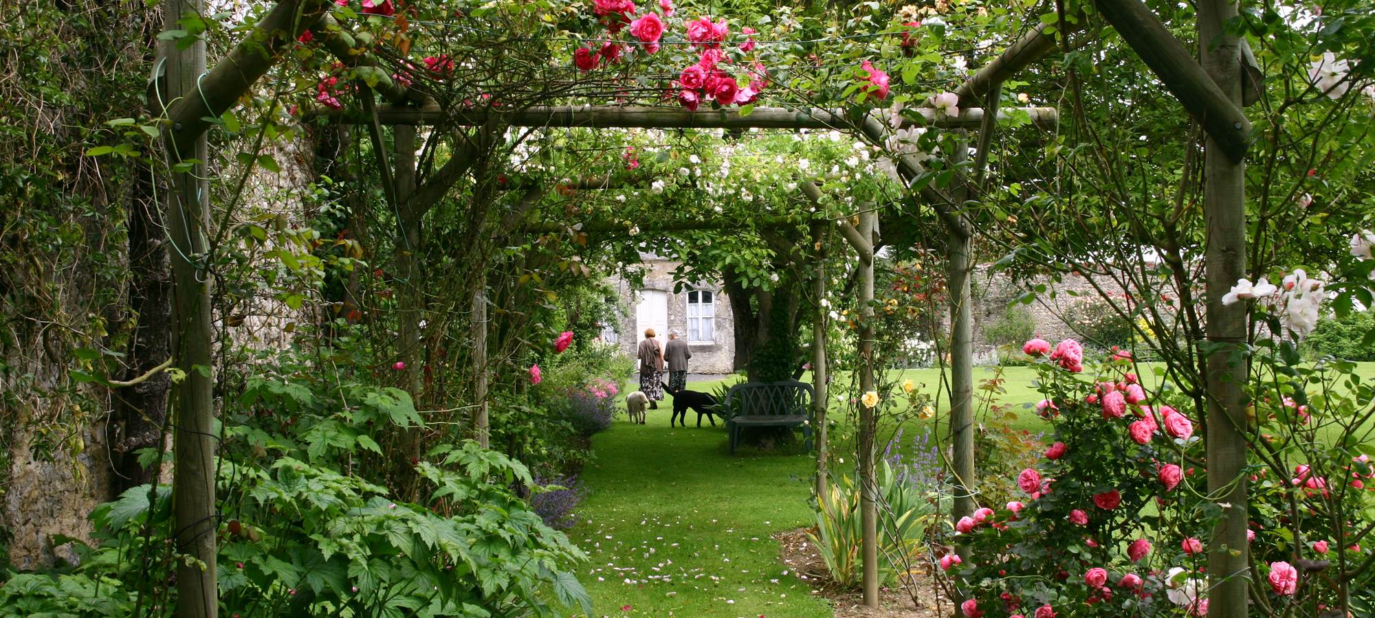 La roseraie de Laure en Juin