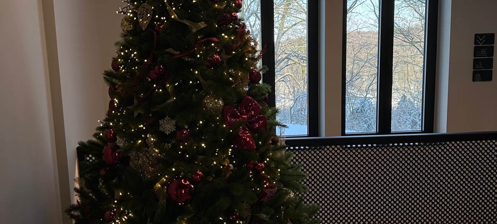 Photos hiver - xmas 2024  1