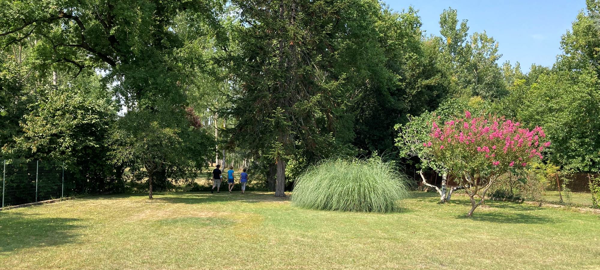Jardin arboré