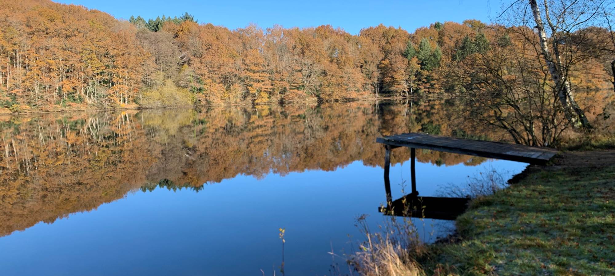 Les terres de la chouette, lac de Sainte-Hélène, en automne