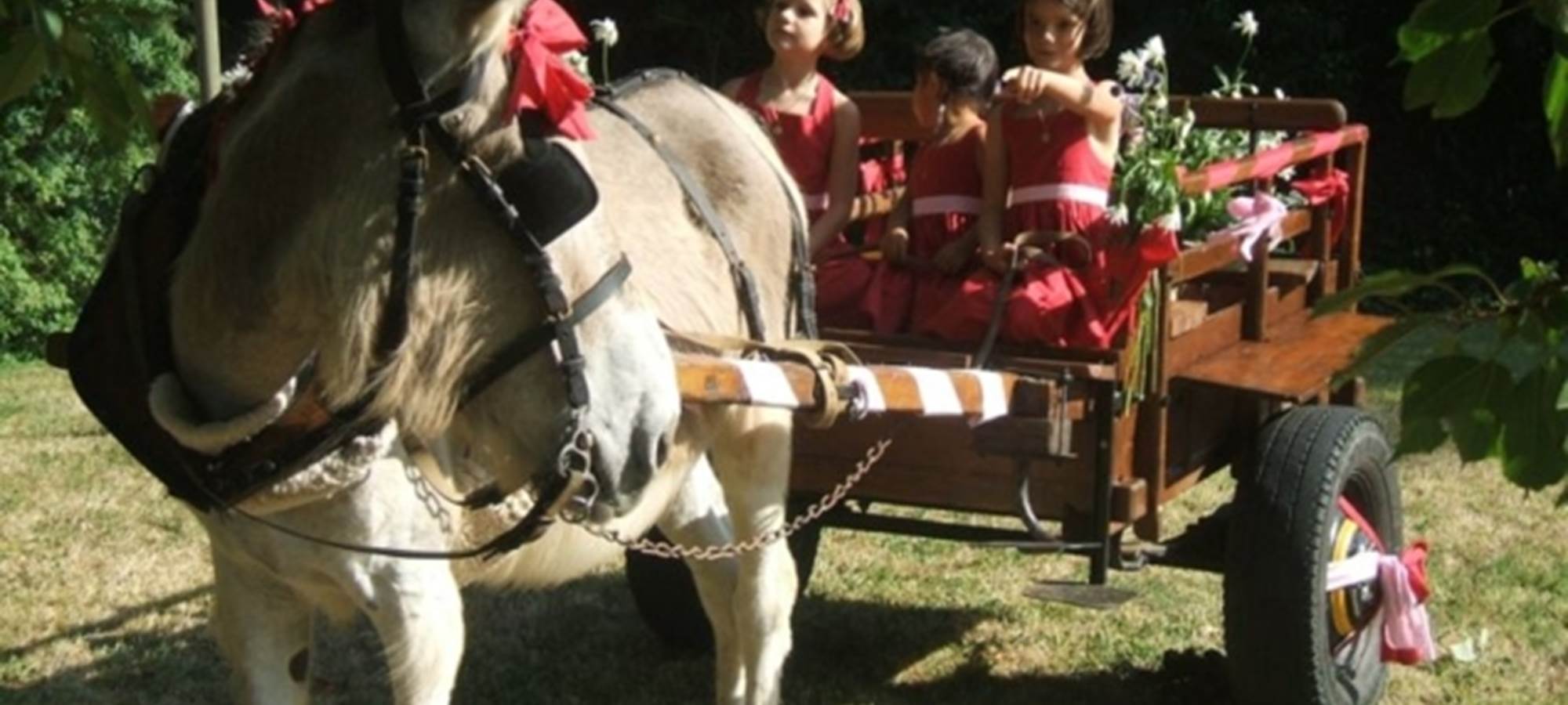 carriole Normande tiré par un âne