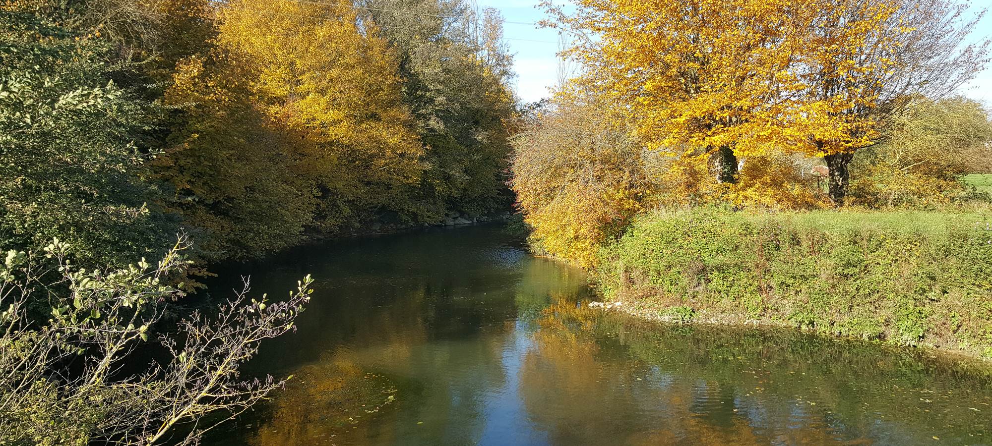 Couleurs d'automne autour des mout'ânes