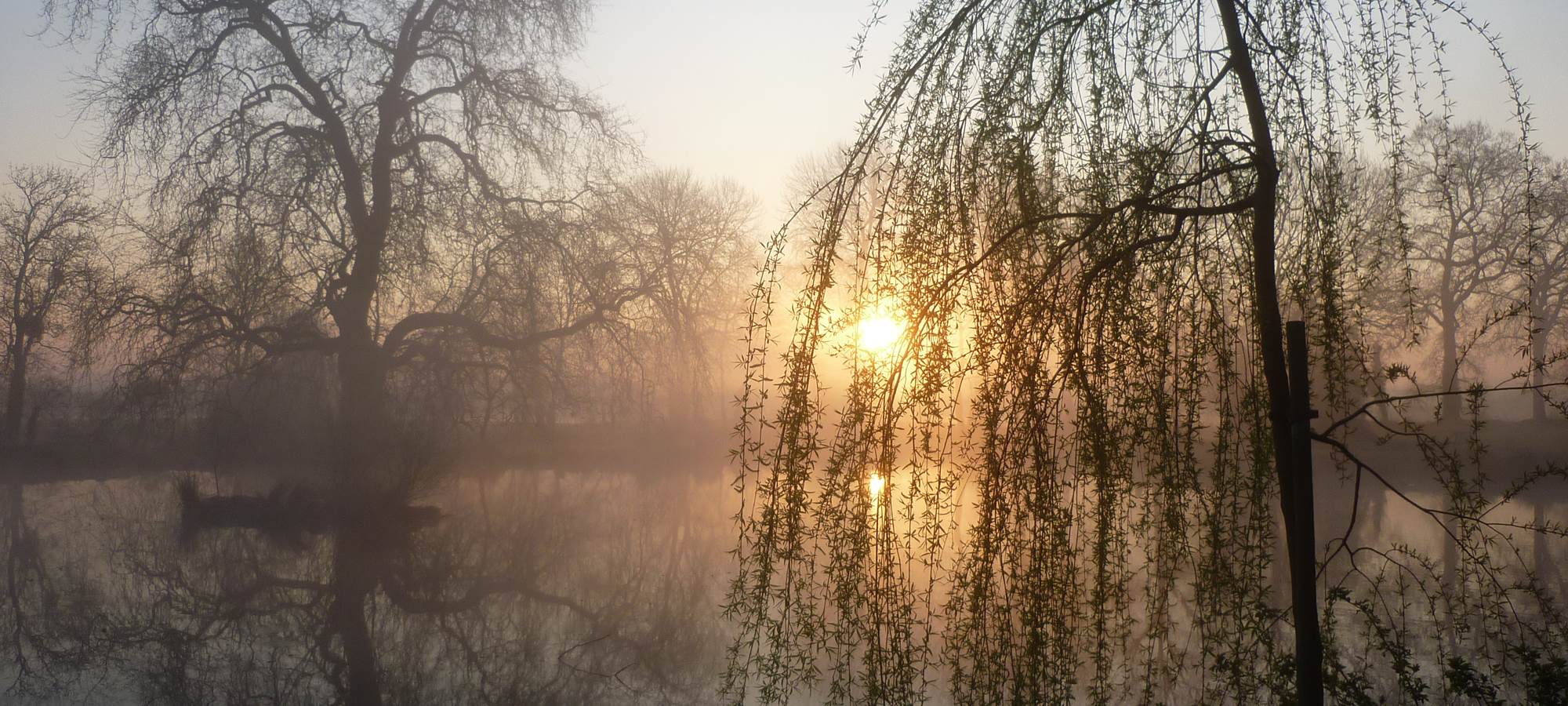 Lever de soleil sur l'étang