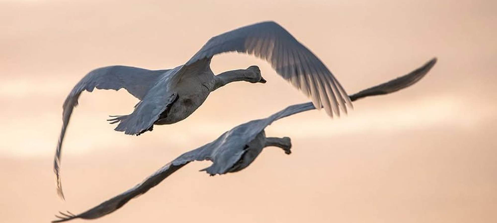 Gites La Baie des Remparts en Baie de Somme Picardie France