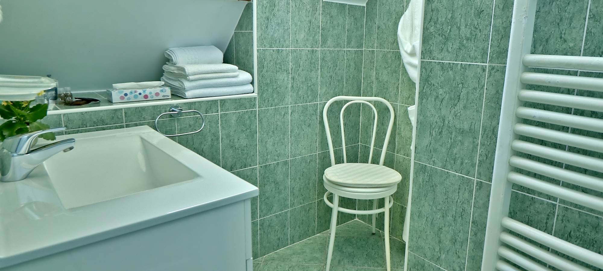 Salle de douche Chambre double Confort Le Pas de l' Âne Saint Ondras