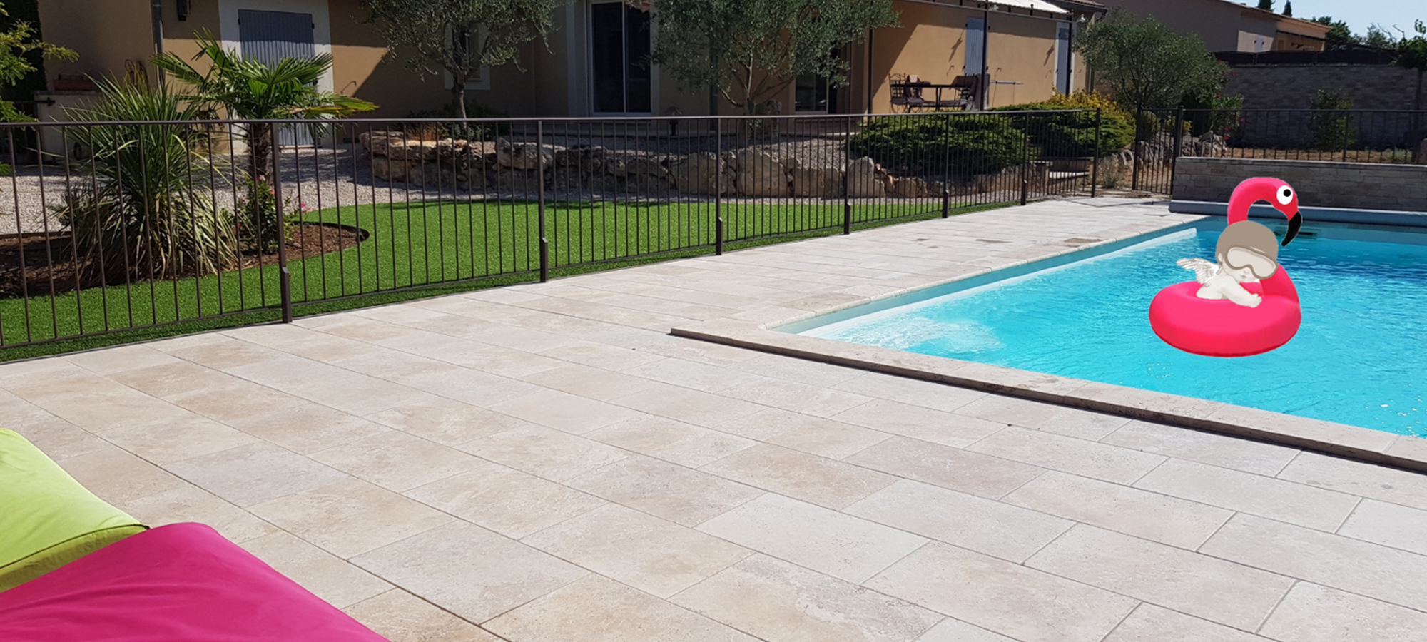 Flamand rose dans la piscine