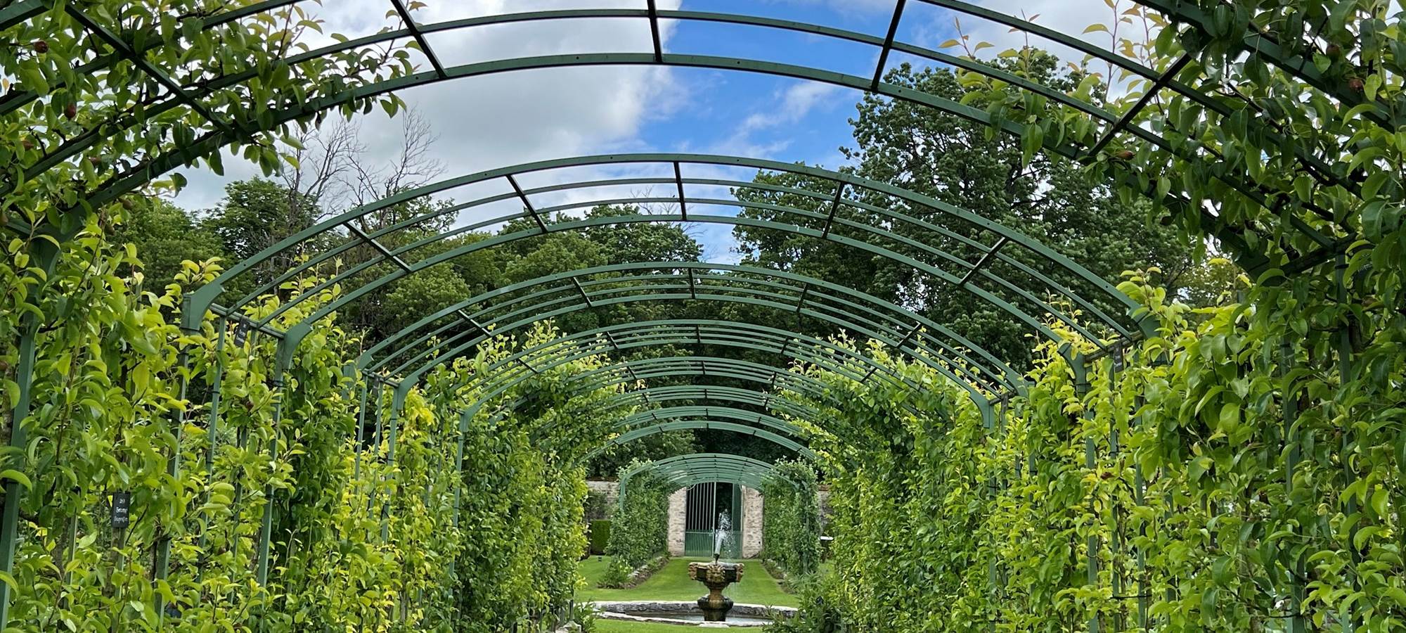 ALLEE CENTRALE DES VERGERS-POTAGERS