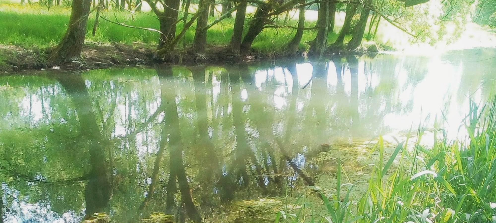 Promenade le long de la Seugne 3