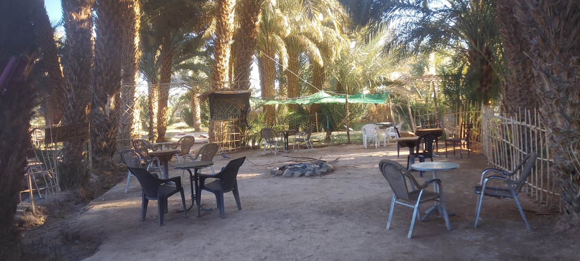 WhatsApp Image 2025-01-21 at 11.56.20 (2)