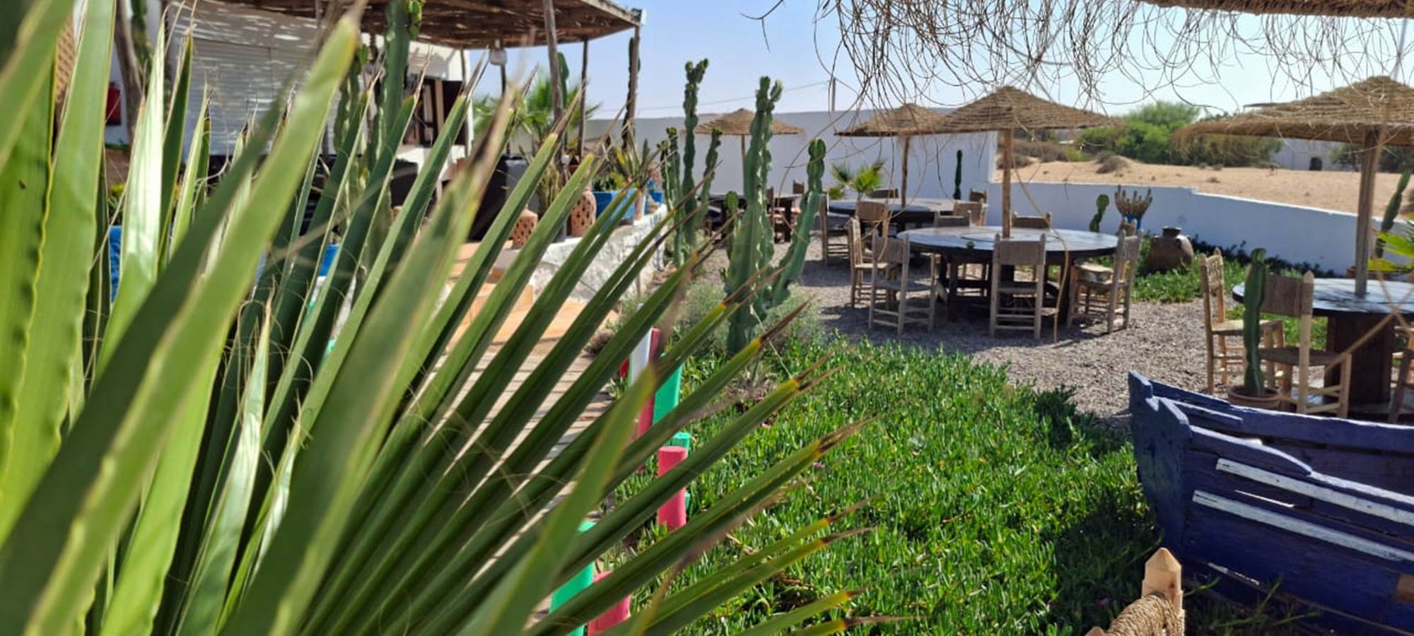 WhatsApp Image 2025-10-23 at 08.44.36