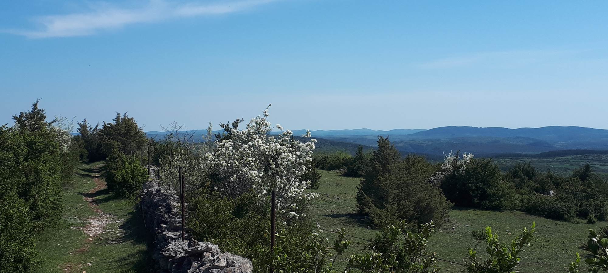 Promenade sur le Causse