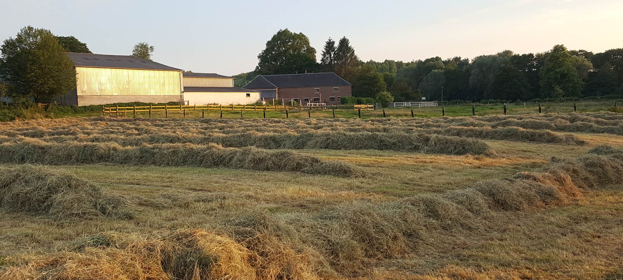 La période des foins