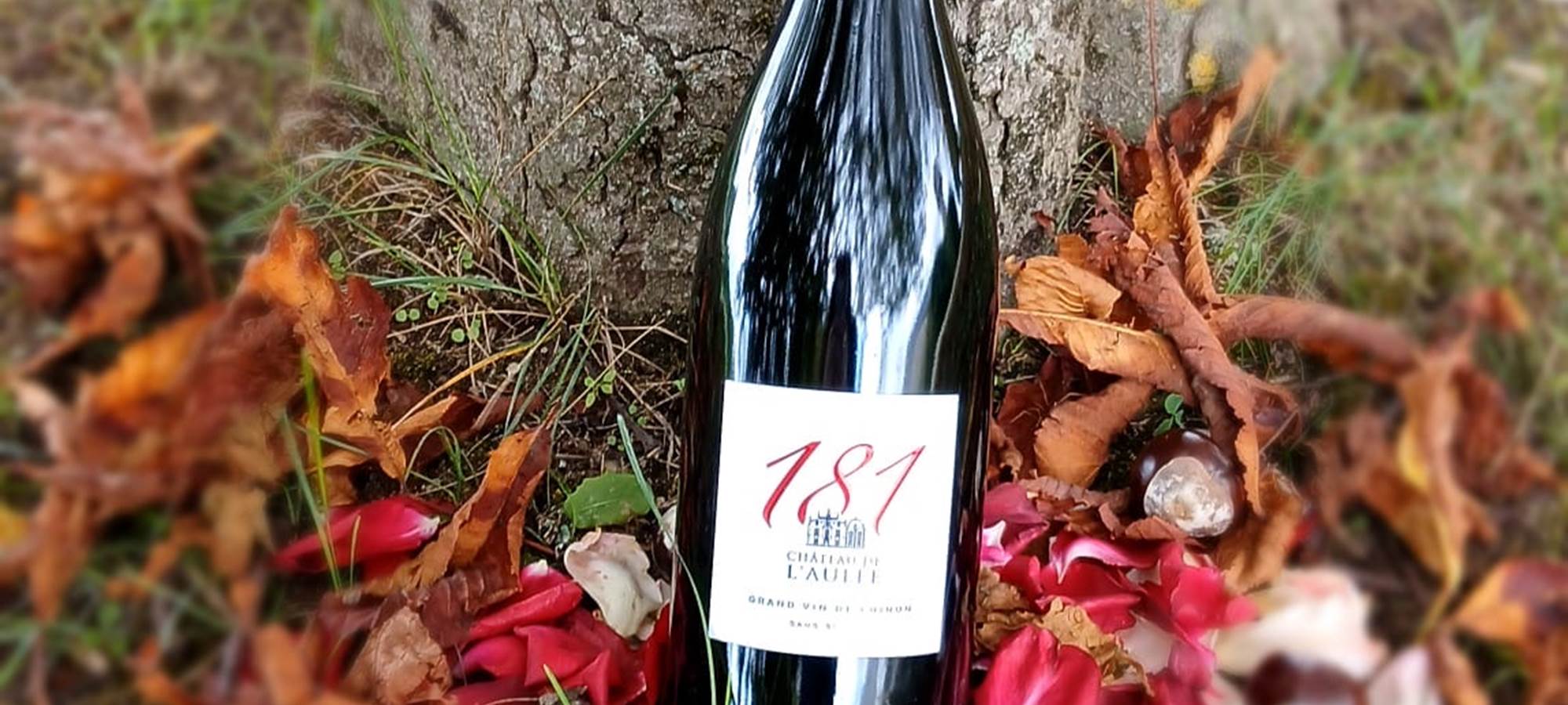 03577e0c-91cc-4bf8-b6d2-41dda102aabe