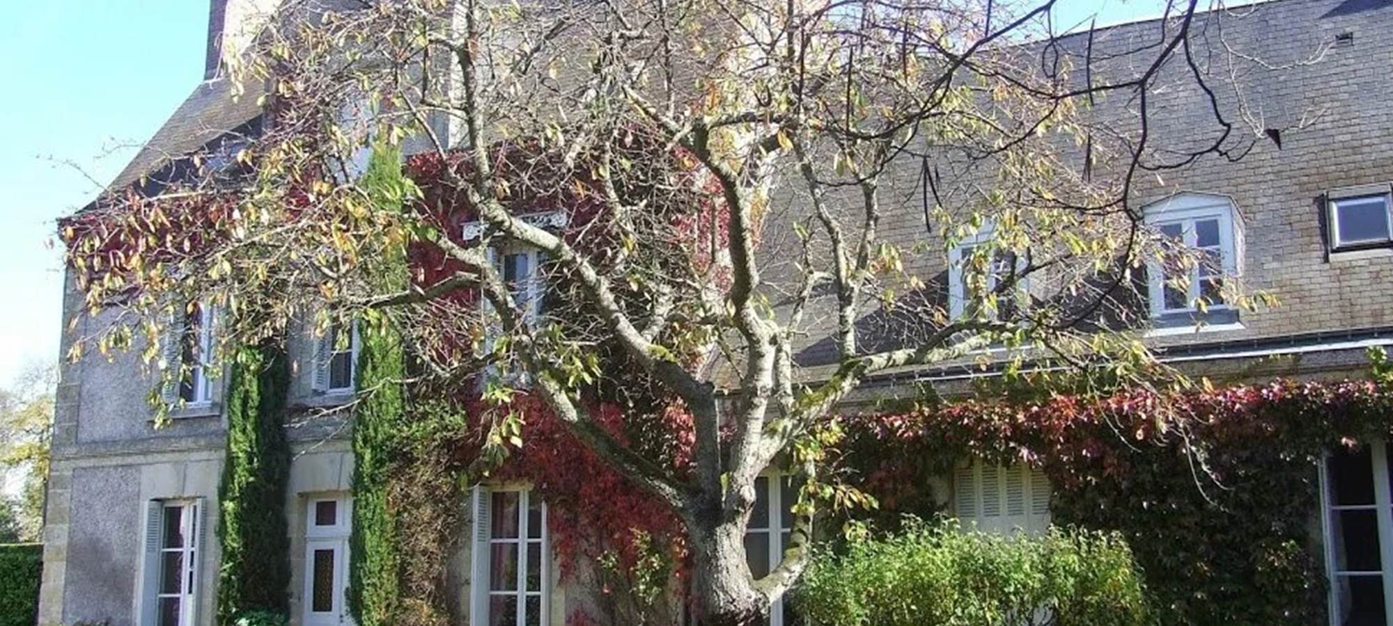 7746bc_9c63242b381f450e9885a7a6ab3f9d3c_mv2