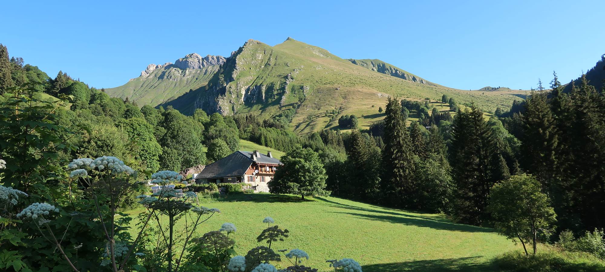 Vue panoramique du chalet d'alpage de Beauregard entouré de sapins et montagnes du Chablais à Taninges.
