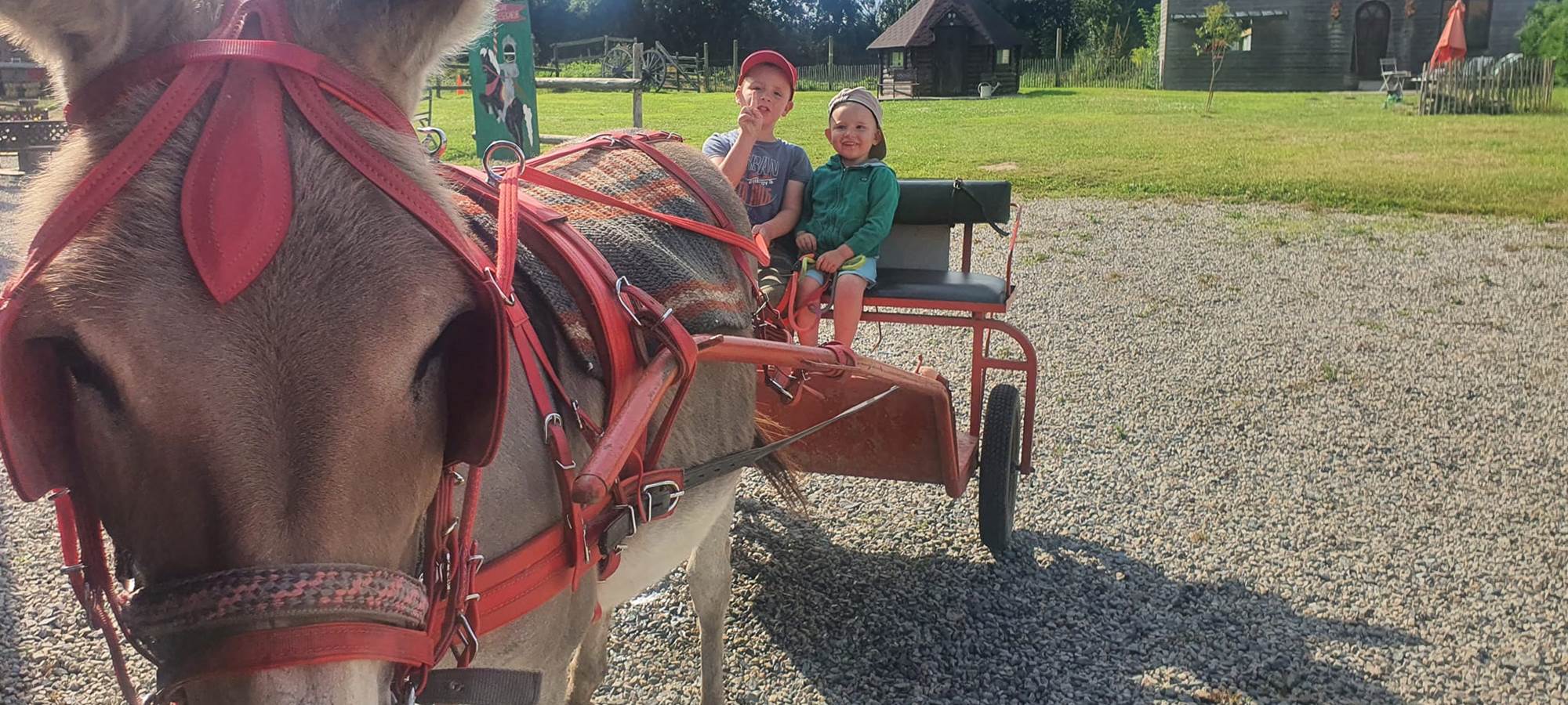 Promenades libres montées et attelées
