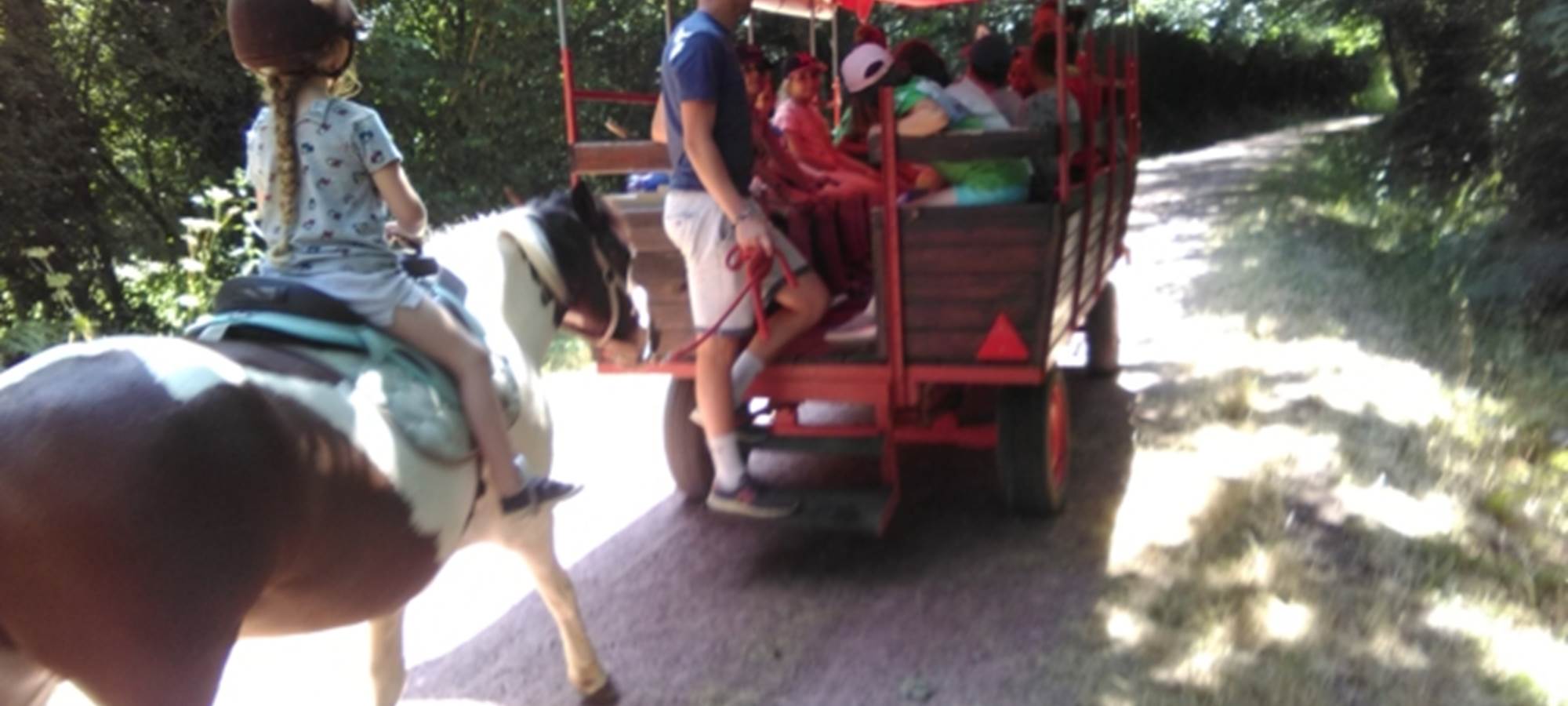 Promenades ou animations montées et attelées