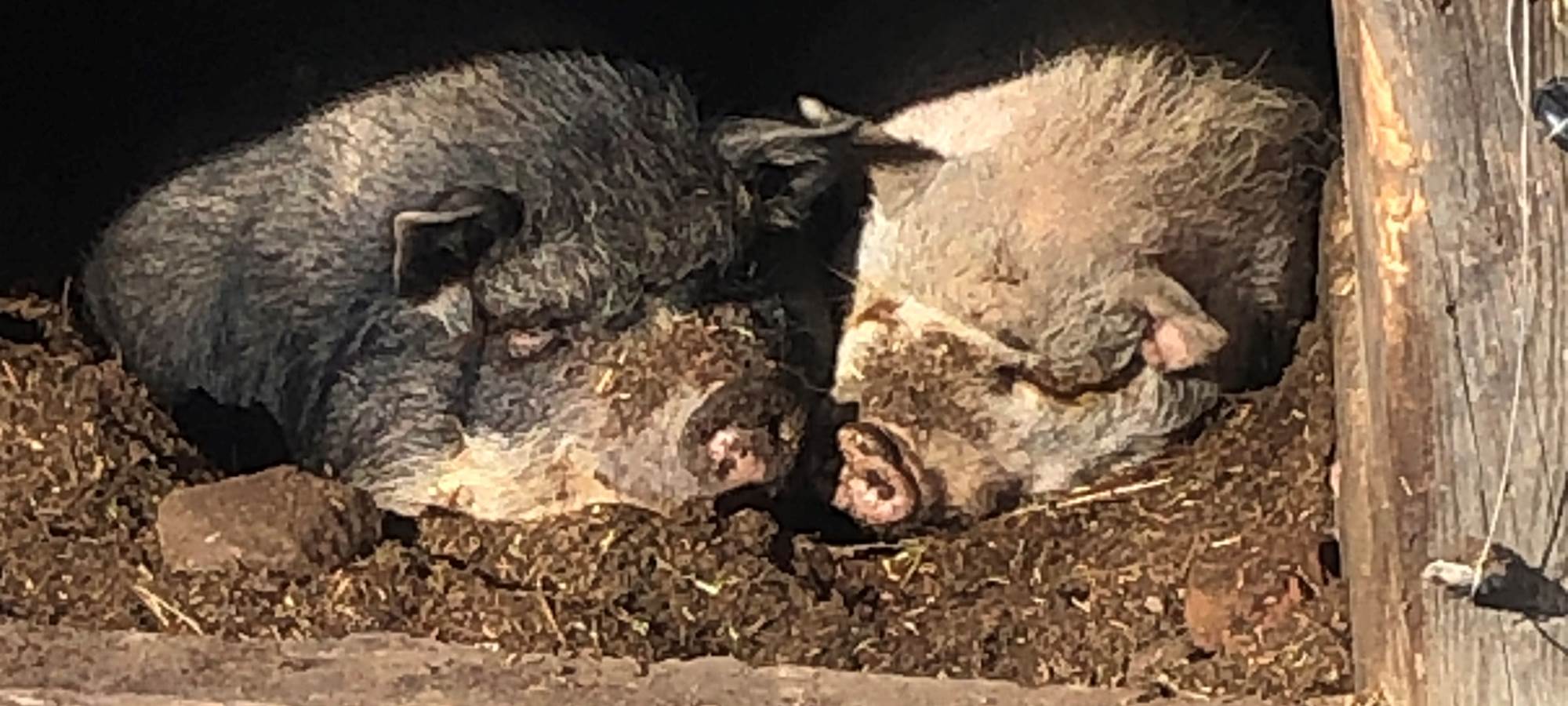 chambres d'hôtes à la ferme Lorraine