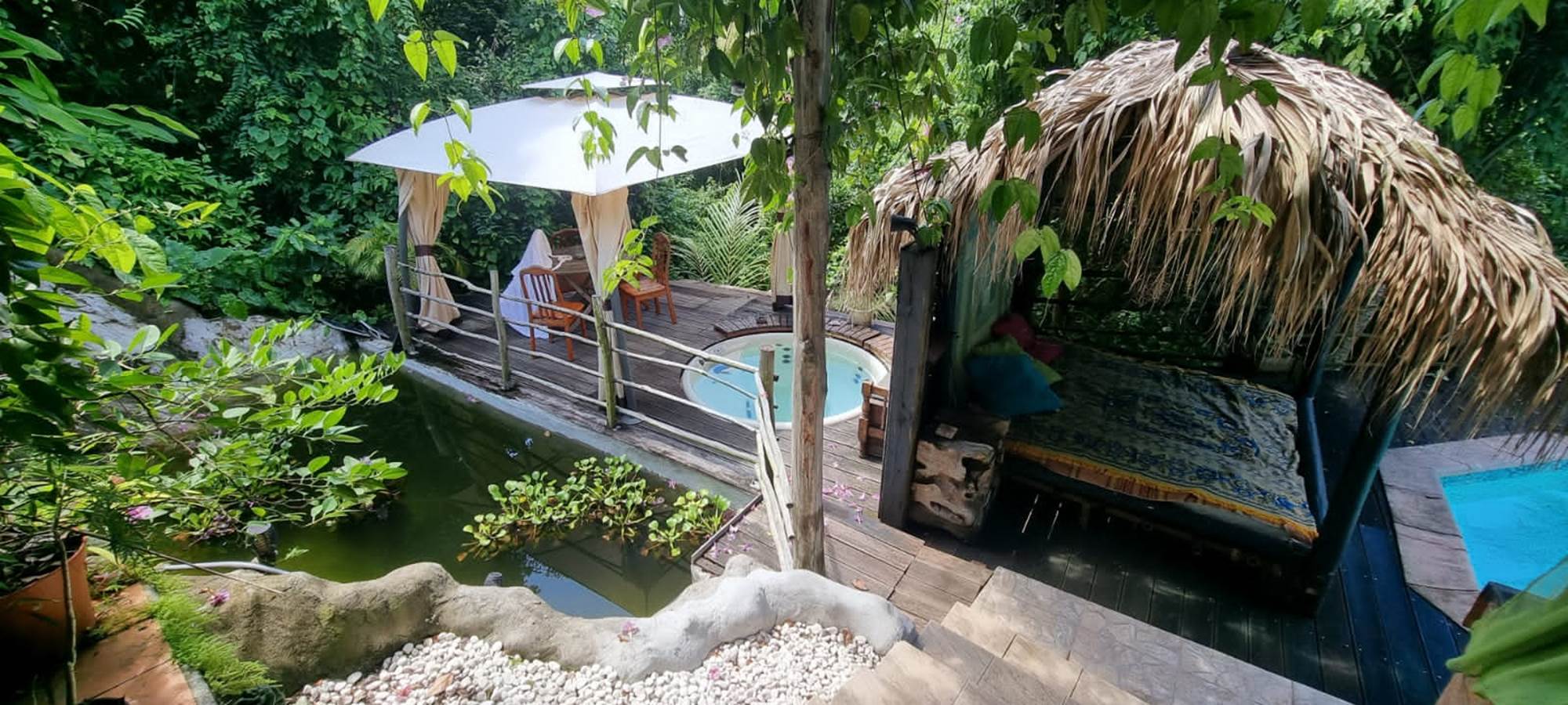 vue sur l étang, le bain thérapeutique et lit du piscine