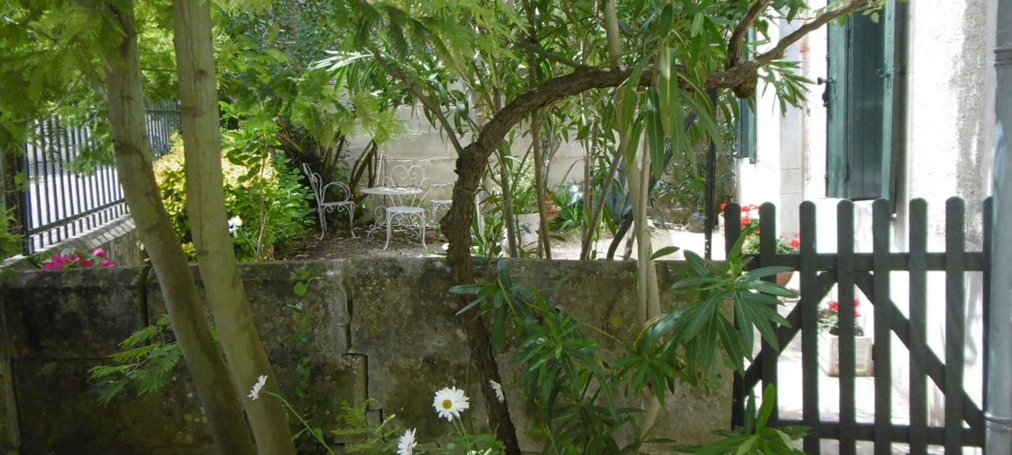 le petit jardin à l'entrée