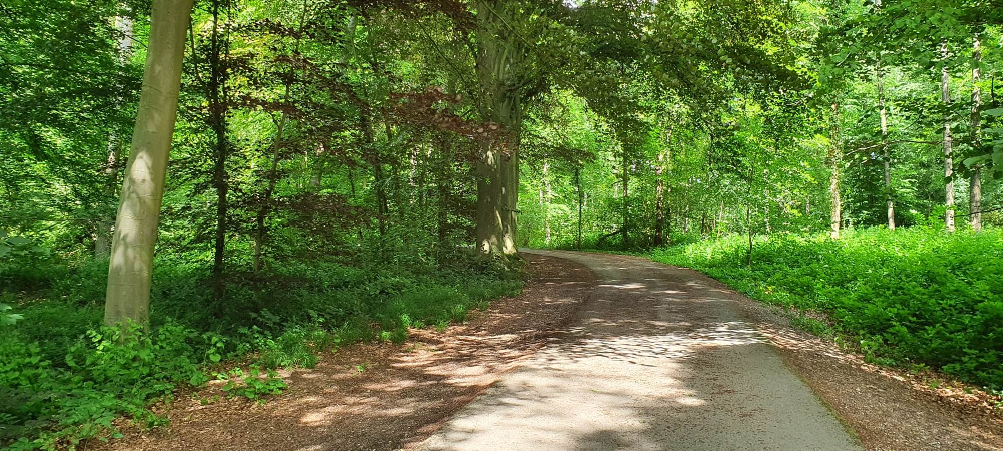 fonds des Chênes Wépion