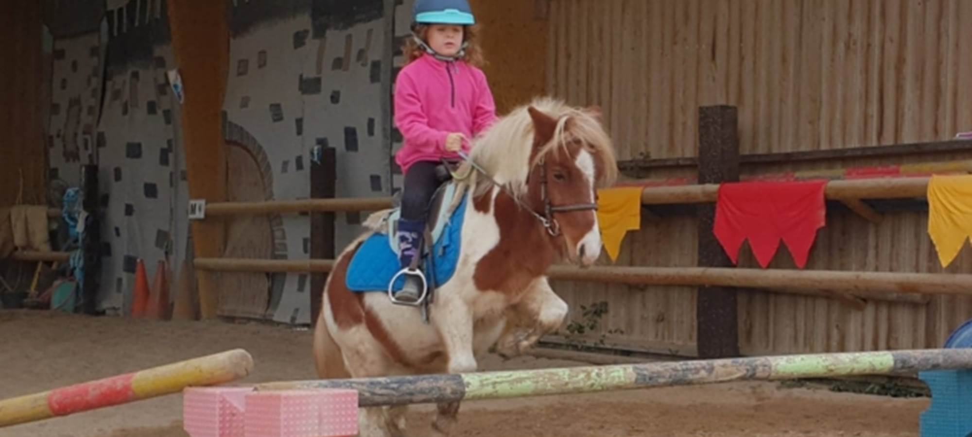 Cours et stage équestres