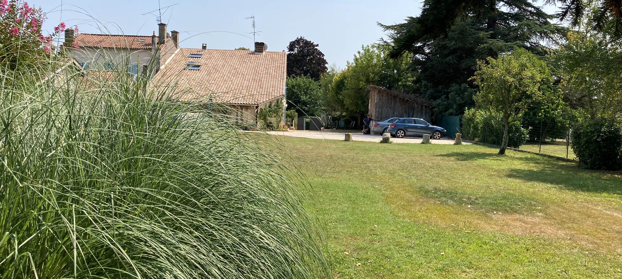 Jardin arboré