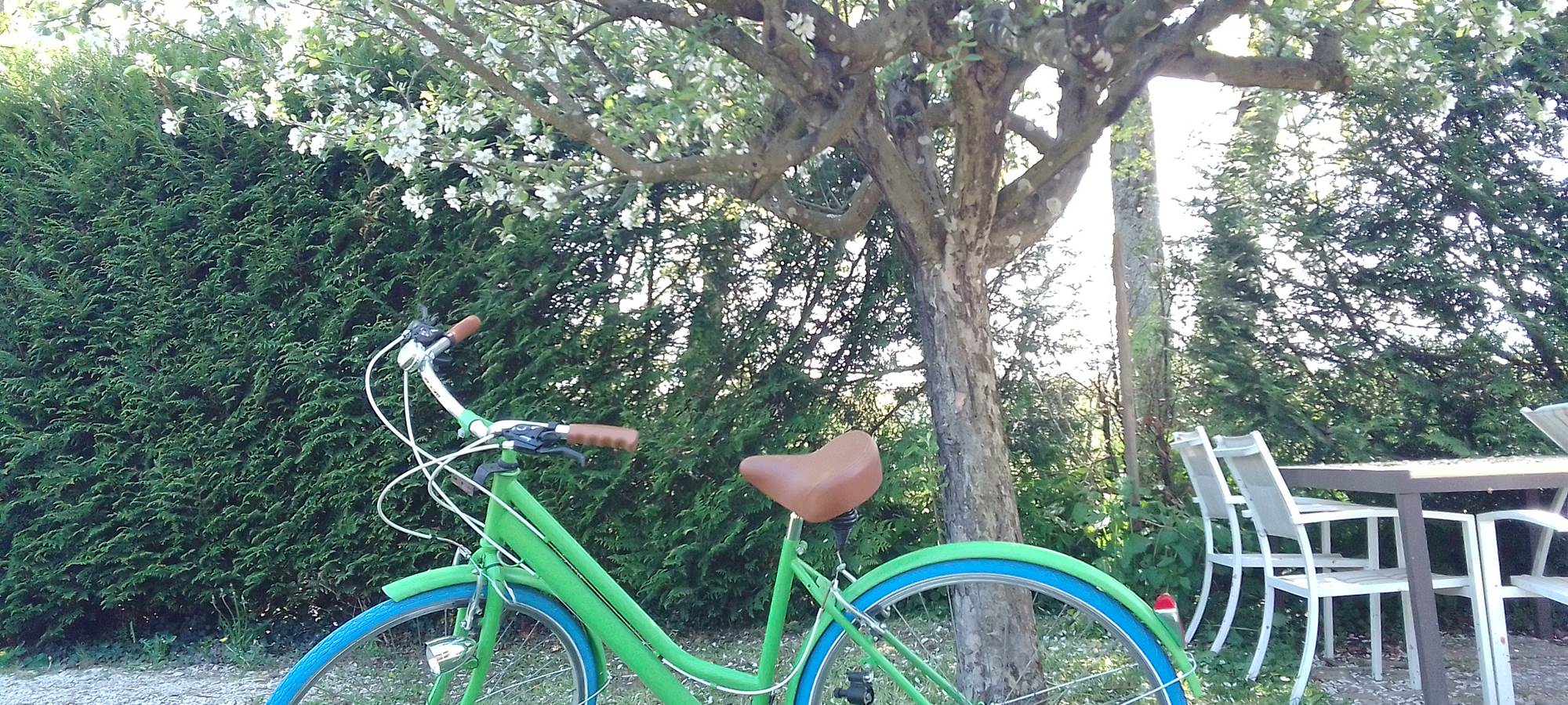 La-Bicyclette-du-Gïte-de-Josefine-et-Voltaire-Ornex-Ferney-Voltaire