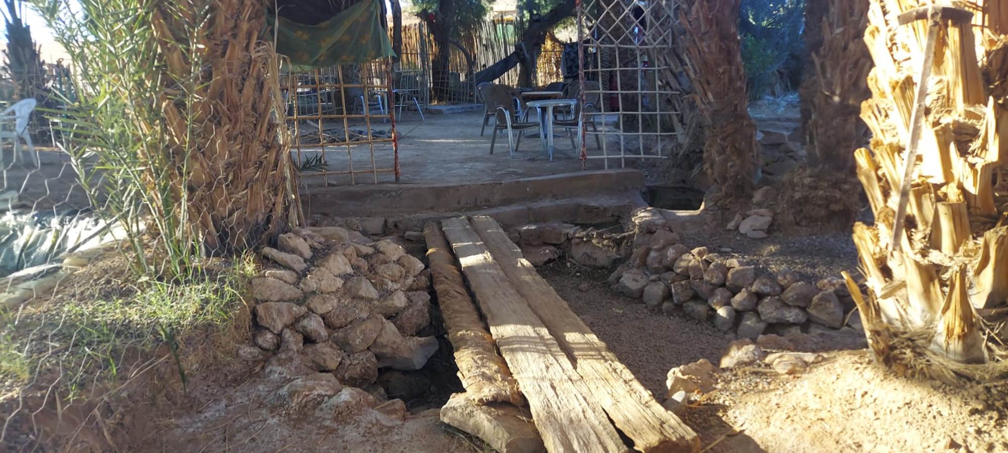 WhatsApp Image 2025-01-21 at 11.56.20 (1)