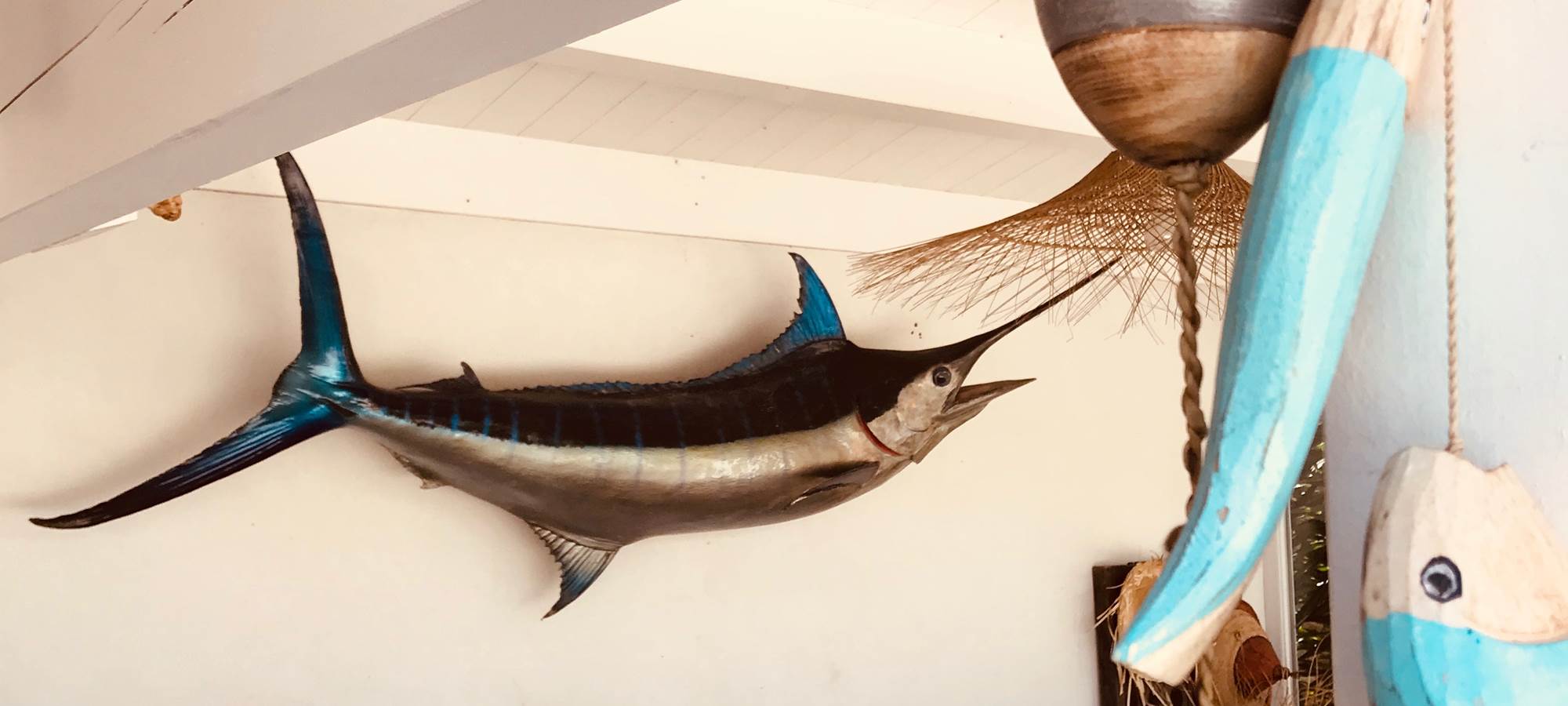 deco-séjour-d-été-marlin-bleu