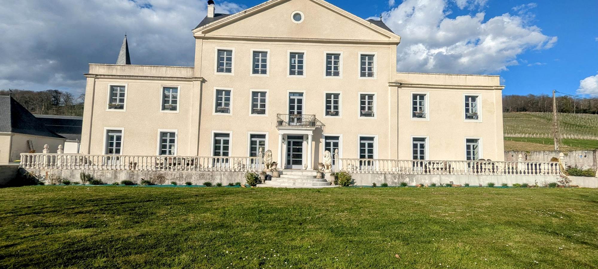 Chateau Roquehort Monein - Cambres d'hotes Monein (19)