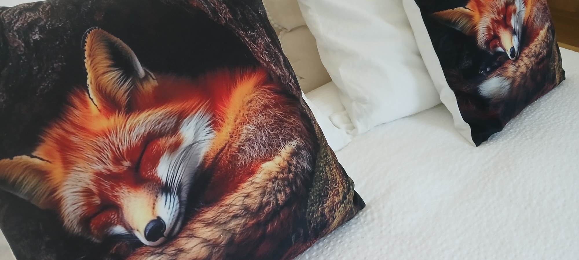 Le Loft du Renard" endormi