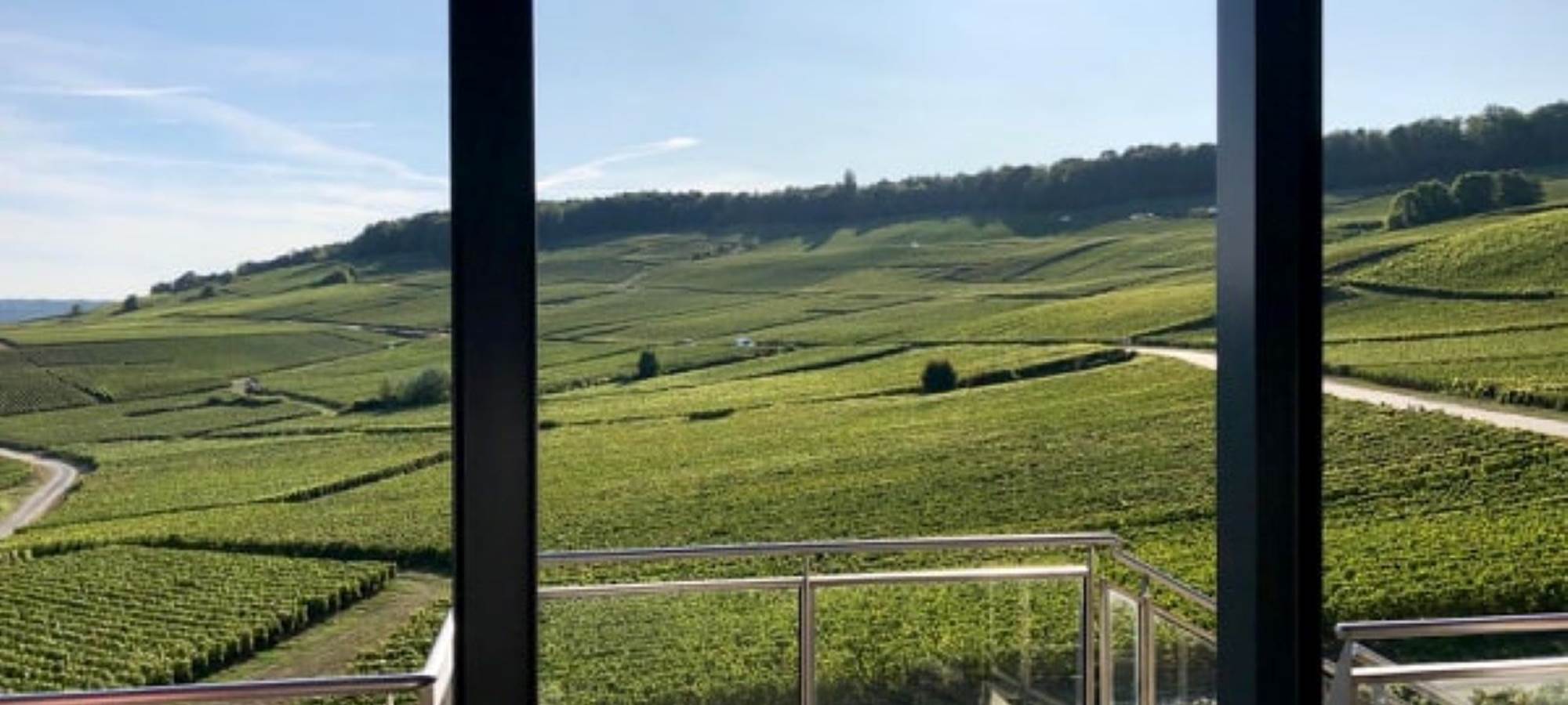 vue sur les vignes au champagne  ARNOULT
