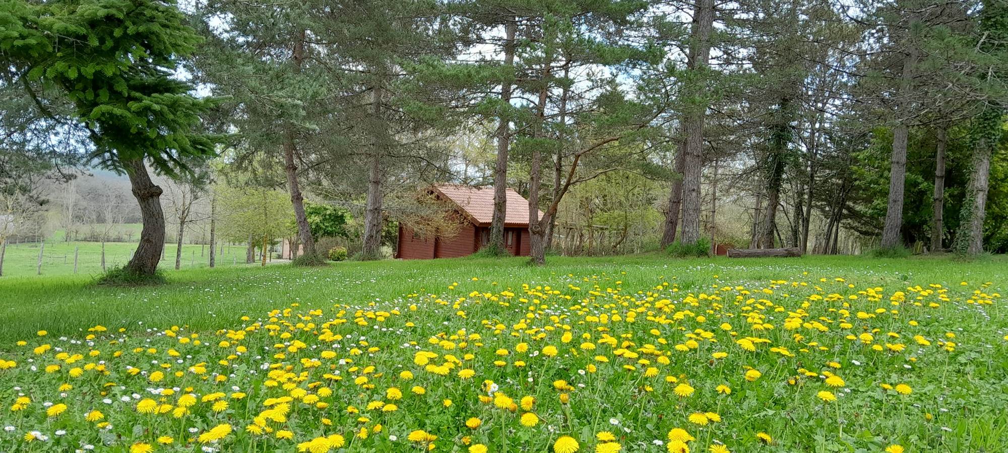 Village de Gîtes LES CHALETS DE GRAZIMIS - vacances dans le Gers - 48 grazimis parc fleurs