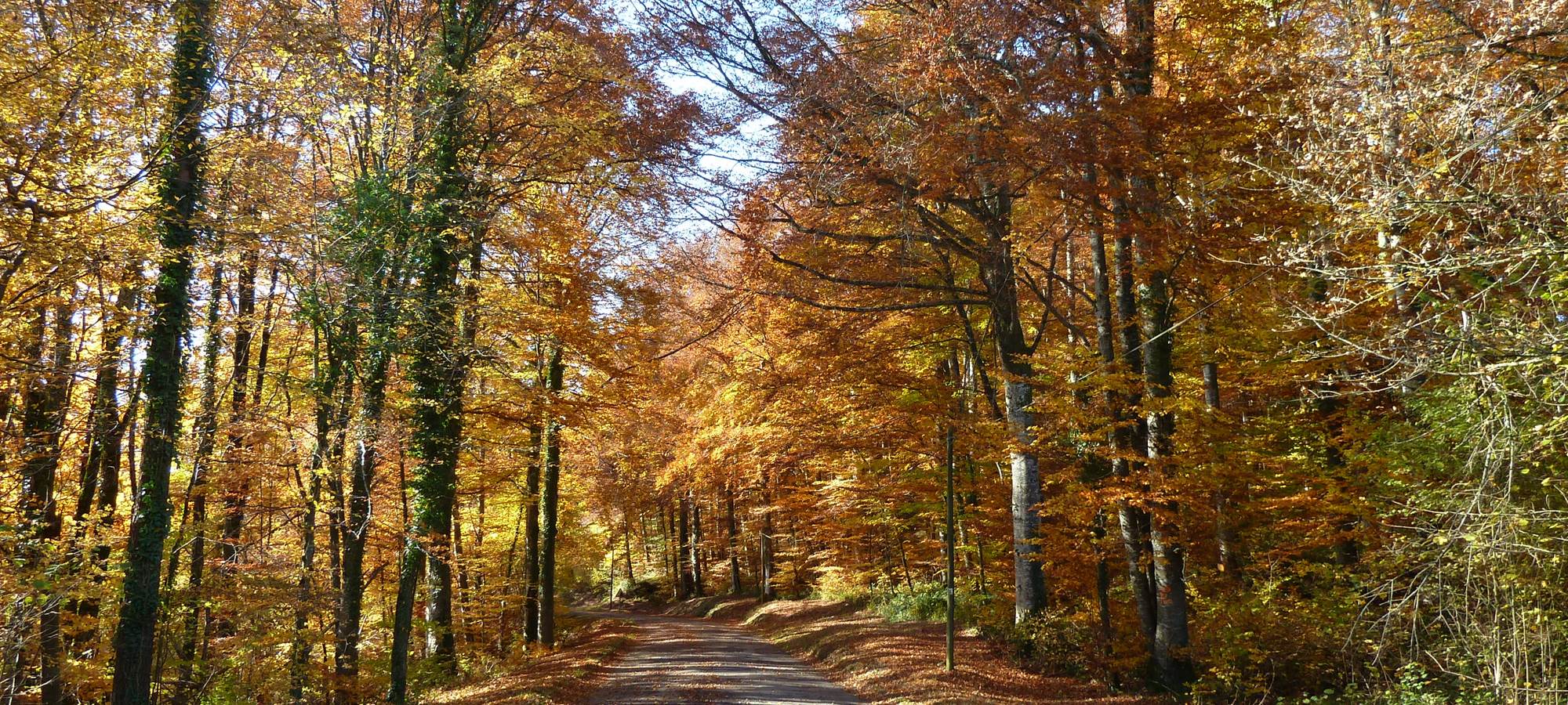 Le Relais des deux tours en automne décorée des ses couleurs flamboyantes
