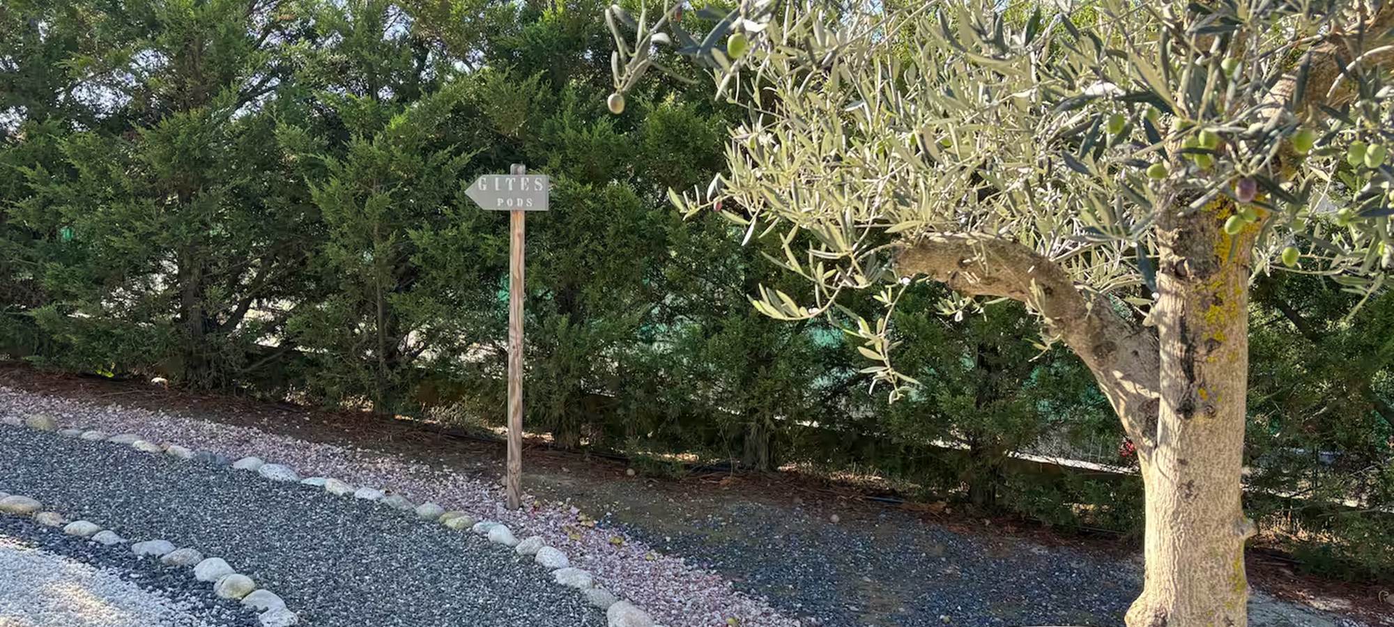 19a7429b-b058-424c-afdd-7f0c8d64059d