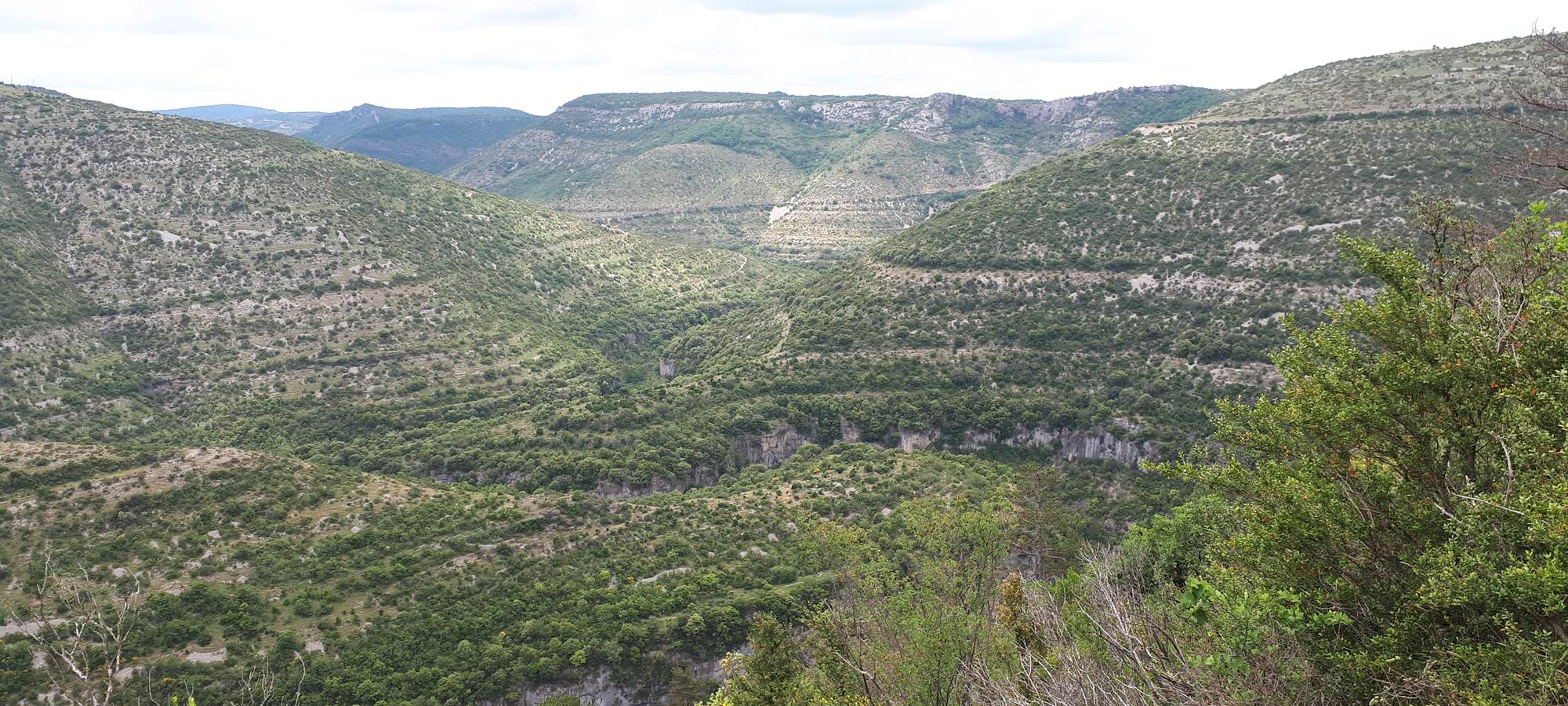 Gorges de la Vis au sud d'Alzon