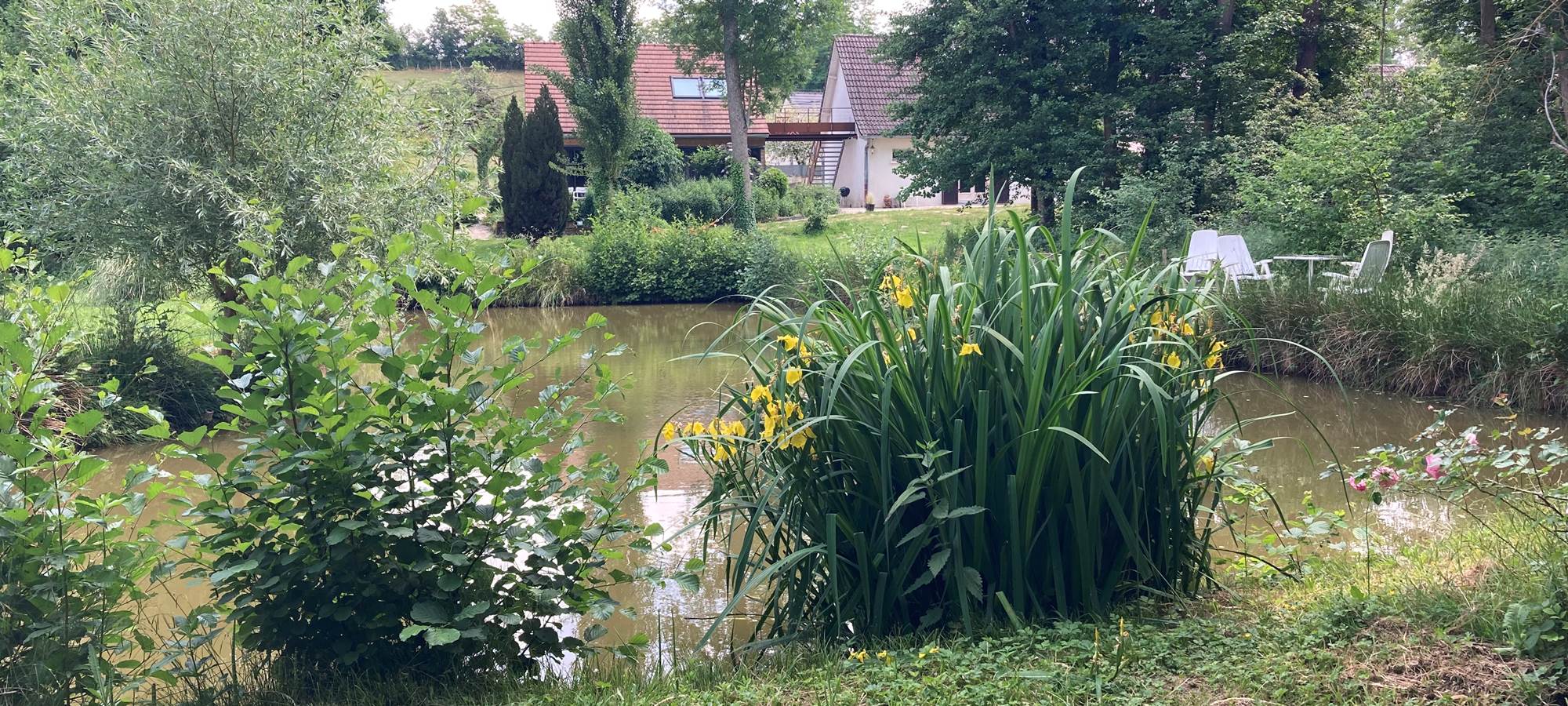 le grand bassin
