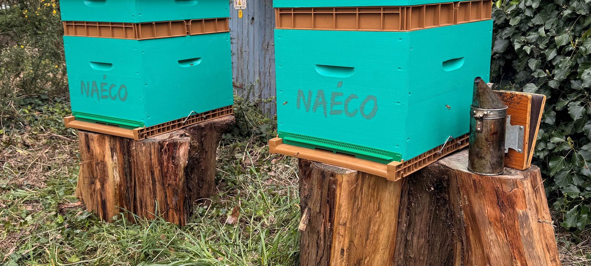 Miel Erdeven Installation des ruches de Sébastion (21)